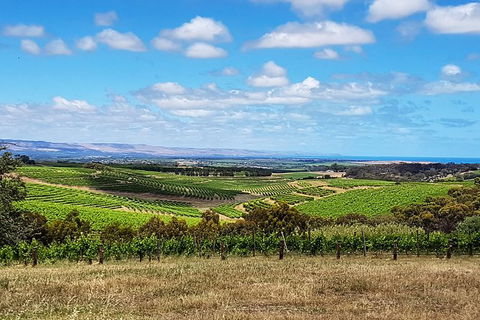 Micro-Group McLaren Vale Wine Tour From Adelaide - Hotel WA 4