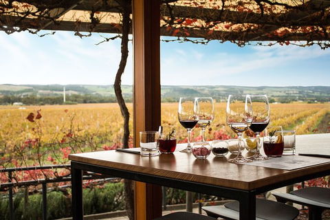 Micro-Group McLaren Vale Wine Tour From Adelaide - Hotel WA 2