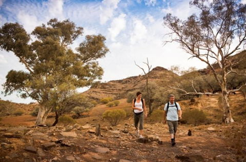 Flinders Ranges 3 Day 4WD Small Group Eco Tour From Adelaide - Hotel WA 0