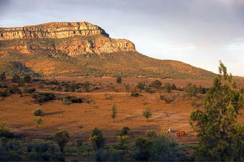 Flinders Ranges 3 Day 4WD Small Group Eco Tour From Adelaide - Hotel WA 8