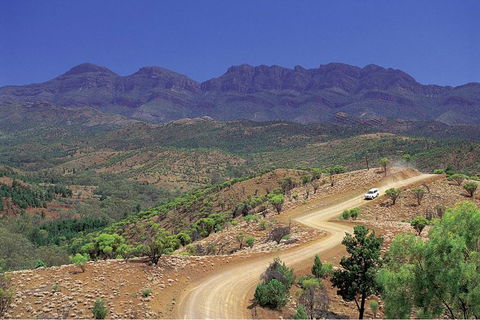 Flinders Ranges 3 Day 4WD Small Group Eco Tour From Adelaide - Hotel WA 9
