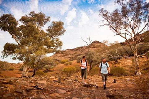 Flinders Ranges 3 Day 4WD Small Group Eco Tour From Adelaide - Hotel WA 3