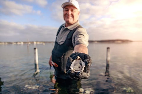 Coffin Bay Oyster Farm & Tasting Tour - Hotel WA 3