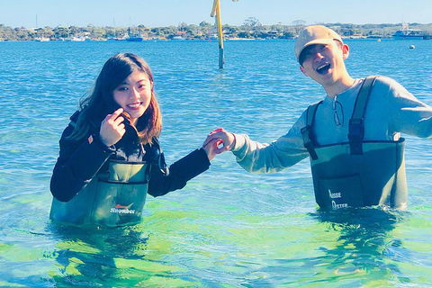 Coffin Bay Oyster Farm & Tasting Tour - Hotel WA 4