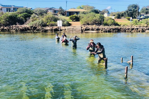 Coffin Bay Oyster Farm & Tasting Tour - Hotel WA 6
