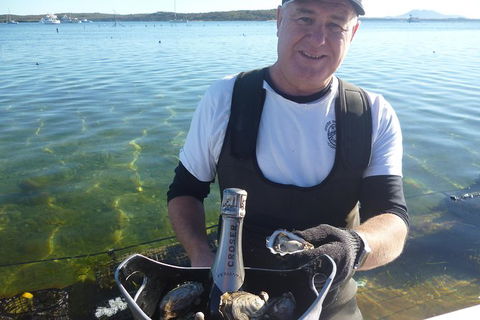 Coffin Bay Oyster Farm & Tasting Tour - Hotel WA 2