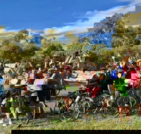 McLaren Vale Shiraz Trail Cycling Tour from Adelaide - Hotel WA