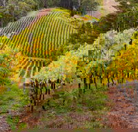 Private Adelaide Hills Wine Region Tour - Hotel WA