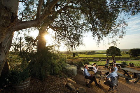 Hop-On Hop-Off Barossa Valley Wine Region Tour From Adelaide - Hotel WA 7