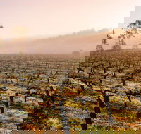 Barossa Valley Private Tour It's your tour the way you want it. - Hotel WA