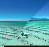 Coffin Bay Day Tour - A Taste of Coffin Bay - Hotel WA