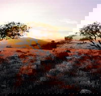 Adelaide To Coober Pedy 7 DAY SMALL GROUP 4WD SAFARI - Hotel WA