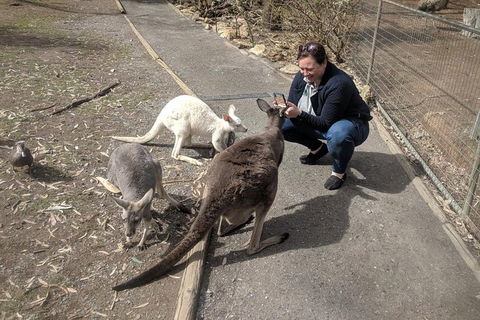 A Taste Of Adelaide And Hahndorf By Car Private Tour. - Hotel WA 8