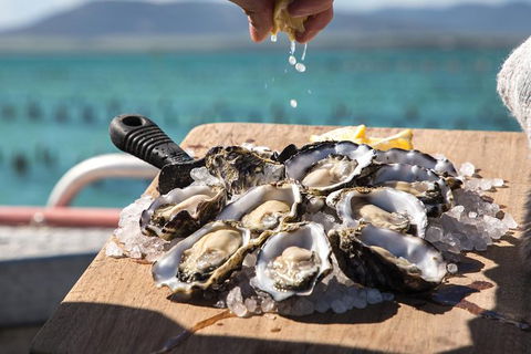 Experience Coffin Bay Short And Sweet Oyster Farm Tour - Hotel WA 0
