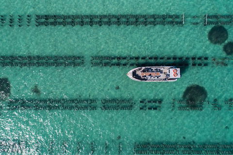 Experience Coffin Bay Short And Sweet Oyster Farm Tour - Hotel WA 1
