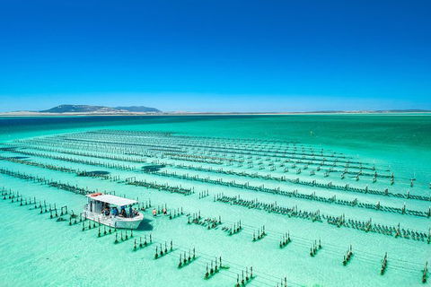Experience Coffin Bay Short And Sweet Oyster Farm Tour - Hotel WA 5
