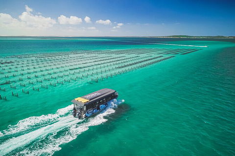 Experience Coffin Bay Short And Sweet Oyster Farm Tour - Hotel WA 2