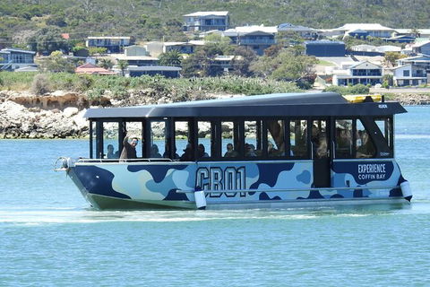 Experience Coffin Bay Short And Sweet Oyster Farm Tour - Hotel WA 9