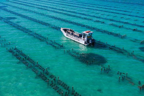 Experience Coffin Bay Short And Sweet Oyster Farm Tour - Hotel WA 7
