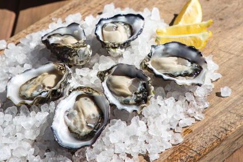 Experience Coffin Bay Short And Sweet Oyster Farm Tour - Hotel WA 3