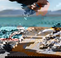 Experience Coffin Bay Oyster Farm and Bay Tour - Hotel WA