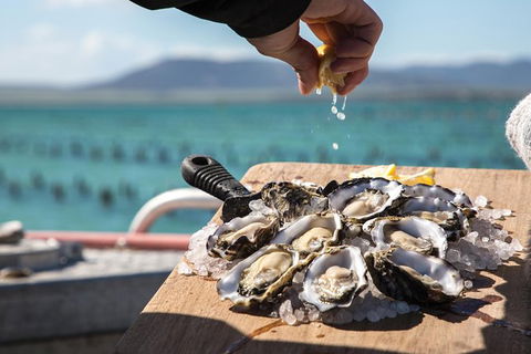 Experience Coffin Bay Oyster Farm And Bay Tour - Hotel WA 0