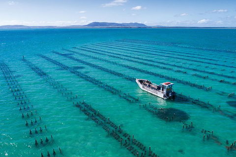 Experience Coffin Bay Oyster Farm And Bay Tour - Hotel WA 1
