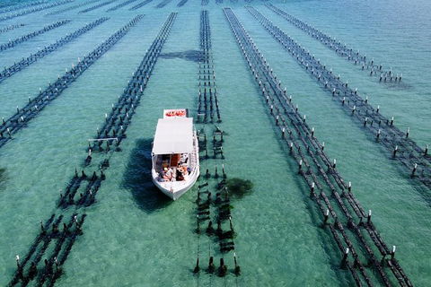 Experience Coffin Bay Oyster Farm And Bay Tour - Hotel WA 8