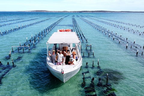 Experience Coffin Bay Oyster Farm And Bay Tour - Hotel WA 12
