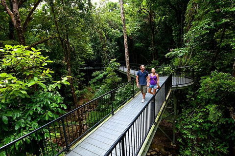 5-Day Best Of Cairns With Daintree, Kuranda, And Great Barrier Reef - Hotel WA 4