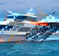 Poseidon Outer Great Barrier Reef Snorkeling and Diving Cruise from Port Douglas - Hotel WA