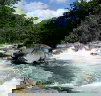 Daintree Rainforest Cape Tribulation Mossman Gorge in a day - Hotel WA