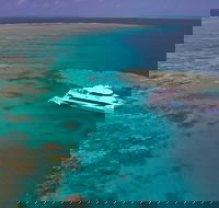 Silversonic Outer Great Barrier Reef Dive and Snorkel Cruise from Port Douglas - Hotel WA