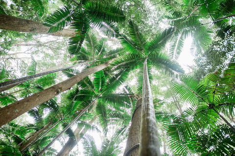 All-Inclusive 2-Day Fraser Island Tour - Hotel WA 8