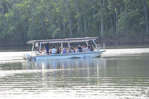 Daintree - Cape Tribulation & Atherton Tablelands Tours From Port Douglas - Hotel WA 16