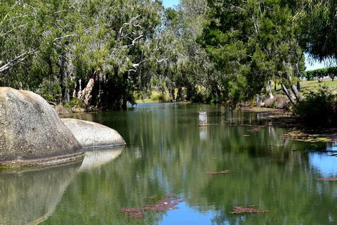 Daintree - Cape Tribulation & Atherton Tablelands Tours From Port Douglas - Hotel WA 28