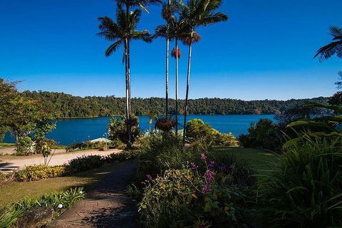 Daintree - Cape Tribulation & Atherton Tablelands Tours From Port Douglas - Hotel WA 25