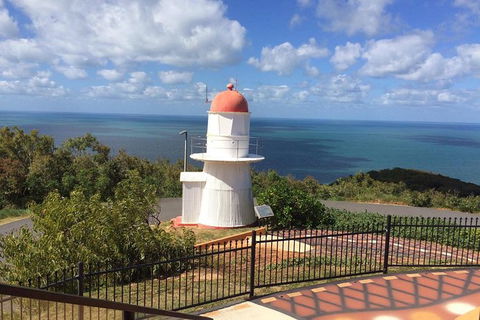 Daintree - Cape Tribulation & Atherton Tablelands Tours From Port Douglas - Hotel WA 21