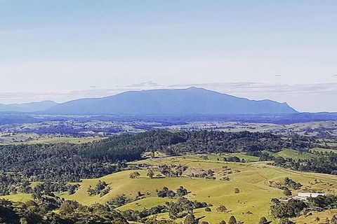 Daintree - Cape Tribulation & Atherton Tablelands Tours From Port Douglas - Hotel WA 10