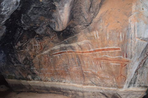 Daintree - Cape Tribulation & Atherton Tablelands Tours From Port Douglas - Hotel WA 15