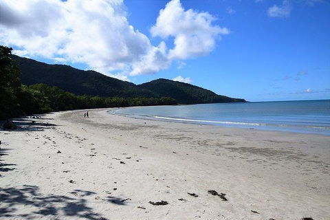 Daintree - Cape Tribulation & Atherton Tablelands Tours From Port Douglas - Hotel WA 18