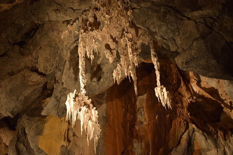 Daintree - Cape Tribulation & Atherton Tablelands Tours From Port Douglas - Hotel WA 23