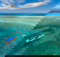 Ocean Safari Great Barrier Reef Experience in Cape Tribulation - Hotel WA