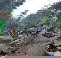 Personalised Private Platypus Land Tour - Hotel WA