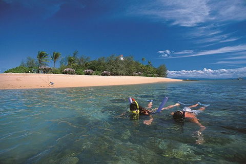 Mossman Gorge Dreamtime Walk And Low Isles Snorkeling And Sailing Cruise - Hotel WA 3