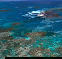 Quicksilver Outer Great Barrier Reef Snorkel Cruise from Port Douglas - Hotel WA