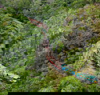 Kuranda Scenic Railway Day Trip from Port Douglas - Hotel WA