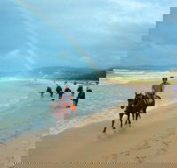 Rainbow Beach Horse Ride - Hotel WA