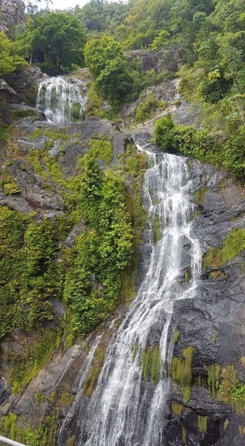 Kuranda Full-Day Small-Group Tour From Port Douglas - Hotel WA 4