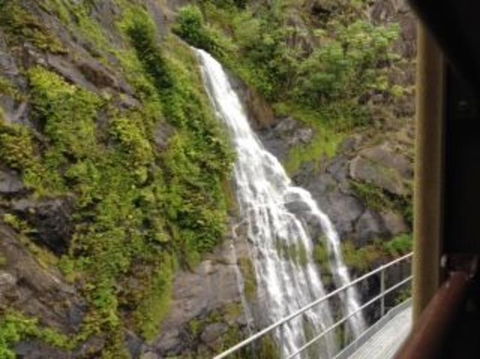 Kuranda Full-Day Small-Group Tour From Port Douglas - Hotel WA 5